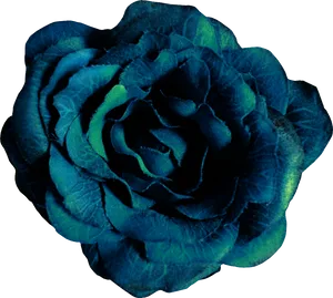Blue Rose Vector Art PNG image