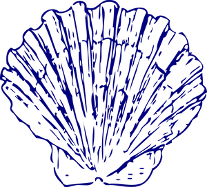 Blue Scallop Shell Illustration