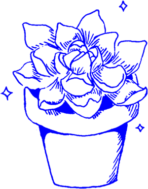 Blue Sketch Succulent Pot PNG image