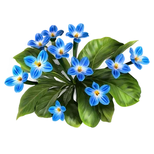Blue Spring Flower PNG 05242024