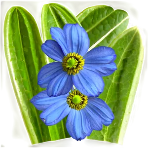 Blue Spring Flower PNG Qsi