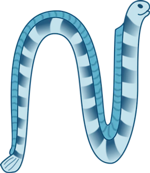 Blue Striped Sea Worm Illustration PNG image
