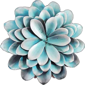 Blue Succulent Plant PNG image