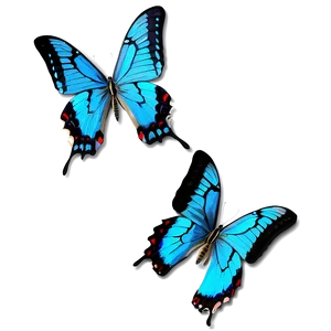 Blue Swallowtail Butterflies Png 06132024 PNG image