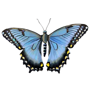 Blue Swallowtail Butterfly Png 13 PNG image