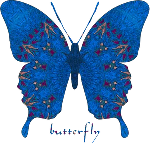 Blue Textured Butterfly Wings PNG image