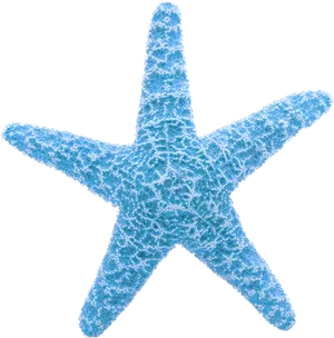 Blue Textured Starfish Clipart PNG image