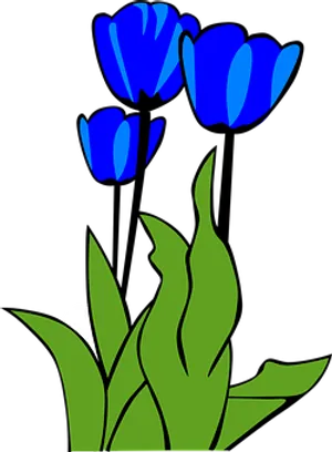 Blue Tulips Vector Art PNG image