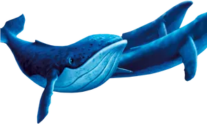 Blue Whale Cartoon Illustration PNG image