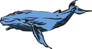 Blue Whale Illustration PNG image