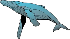 Blue Whale Illustration.png PNG image