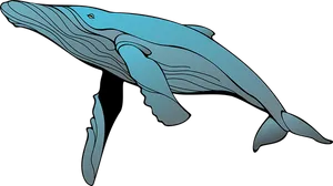 Blue Whale Illustration PNG image