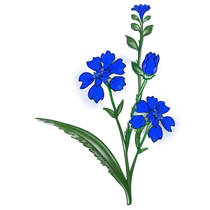 Blue Wildflower PNG 05242024