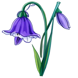 Bluebell Flower Transparent PNG 05252024 PNG