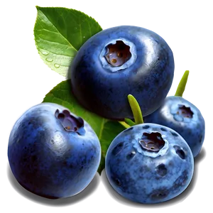 Blueberries Art Png 05242024 PNG image