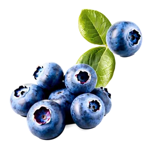 Blueberries Art Png 59 PNG image
