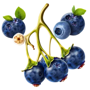 Blueberries Art Png Ofs30 PNG image