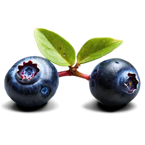 Blueberries For Baking PNG 51 PNG
