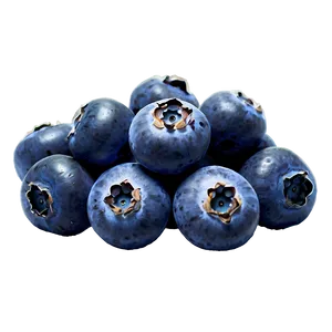 Blueberries For Baking PNG 66 PNG