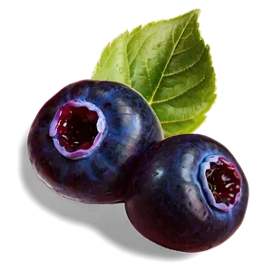 Blueberries For Jam PNG 05242024 PNG