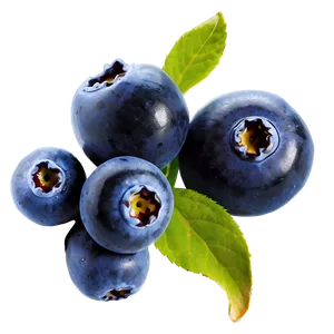 Blueberries For Jam PNG 05242024 PNG