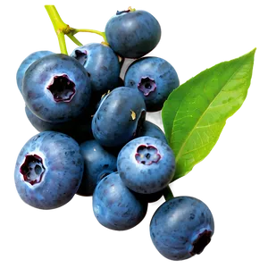 Blueberries In Market PNG 58 PNG