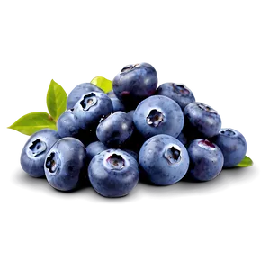 Blueberries In Market PNG Xuj PNG