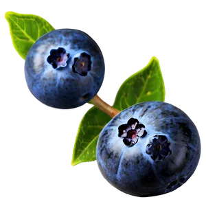 Blueberries In Nature PNG Nhy