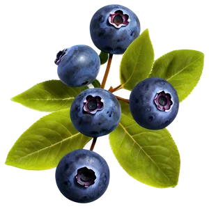 Blueberries In Nature PNG Rqn