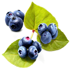 Blueberries In Nature PNG Svl18