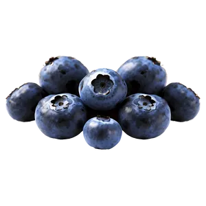 Blueberries In Sunlight Png 05242024 PNG image