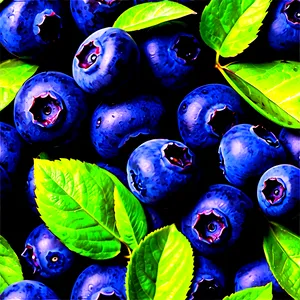 Blueberries In Sunlight PNG 73