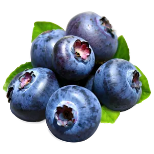 Blueberries In Sunlight Png Lhi43 PNG image