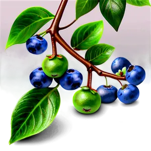 Blueberries On Tree PNG Wbu50