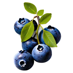 Blueberries On Vine PNG 89 PNG
