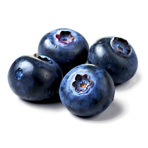 Blueberries On White PNG 05242024 PNG