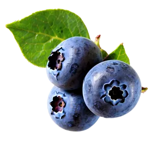 Blueberries On White PNG 44 PNG