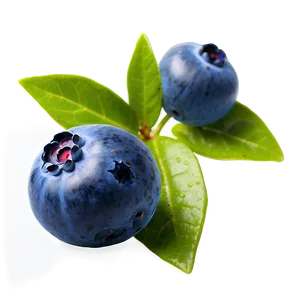Blueberries On White PNG 79 PNG