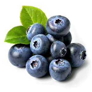Blueberries On White PNG Hqn PNG