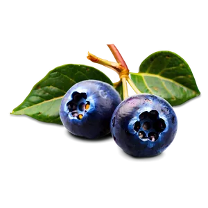 Blueberries With Flowers PNG 05242024