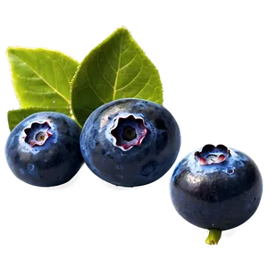 Blueberries With Leaves PNG Fwn42