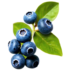 Blueberries With Leaves PNG Jsg