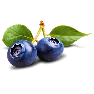 Blueberry Background Png Kvv99 PNG image