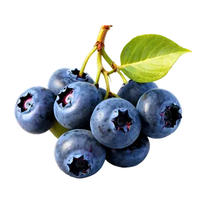 Blueberry Bunch PNG 05242024