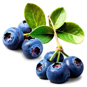 Blueberry Bunch PNG Eol59