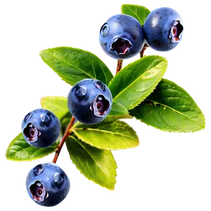 Blueberry Bush Png 05242024 PNG image