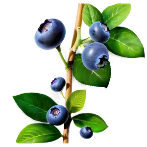 Blueberry Bush Png 87 PNG image