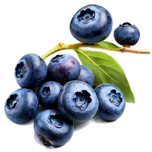 Blueberry Closeup Png 05242024 PNG image
