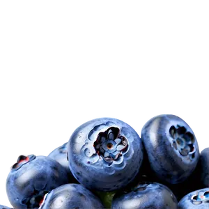 Blueberry Closeup PNG 77 PNG