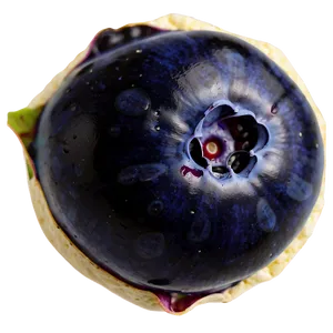 Blueberry Closeup PNG 79